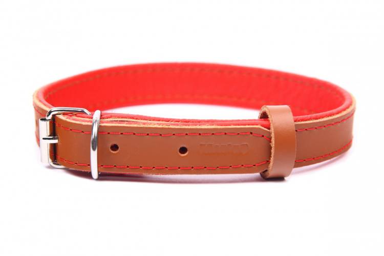 Obroża skóra Premium Brązowy-Czerwony 1202 20MM 40CM 28-36CM - matteo-company