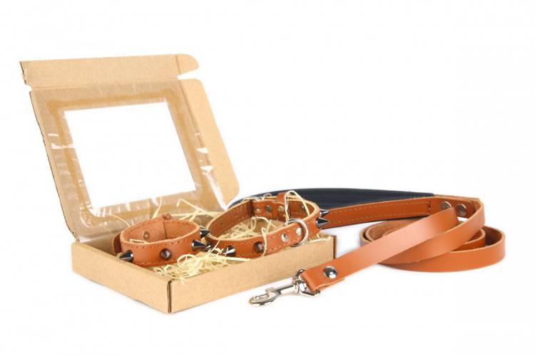 Obroża Skóra Kolec – Brązowa 0262 14MM 34CM 23-31CM - matteo-company