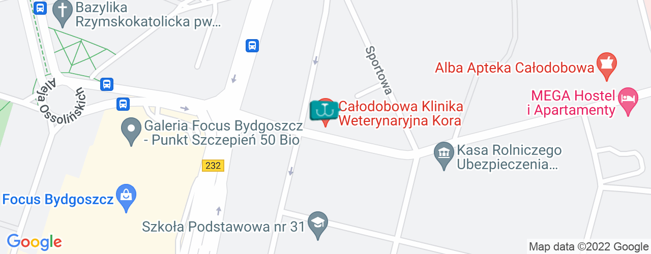 Klinika Weterynaryjna Kora S.C. Robert Sokołowski Piotr Niewczas
