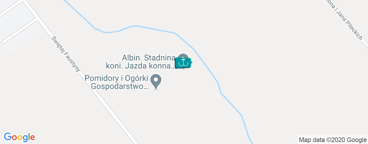 Stadnina Koni Albin Teresa Pietraszek